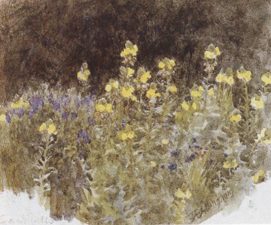 Helen Allingham,R.W.S Studies of Flowers (mk37)